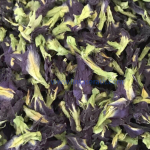 .ლურჯი პეპელა / Butterfly Pea