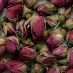 .ვარდის კოკრები / Rose Buds